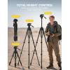 Lamicall Camera Tripod – 17.6LBS Max Load Tripod for Camera with Rapid Leg Deployment Phone Tripods for Video Recording Photo Vlog, 67″ Camera Stand with Phone Holder & Carry Bag for DSLR iPhone GoPro(Black)